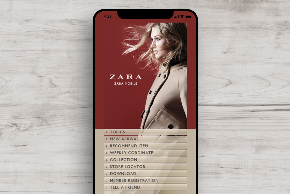 ZARA website